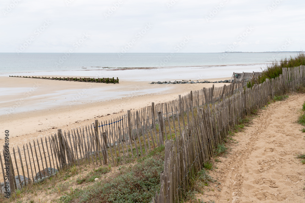 Panorama landscape of sand dunes system on beach in Re Island in france south west
