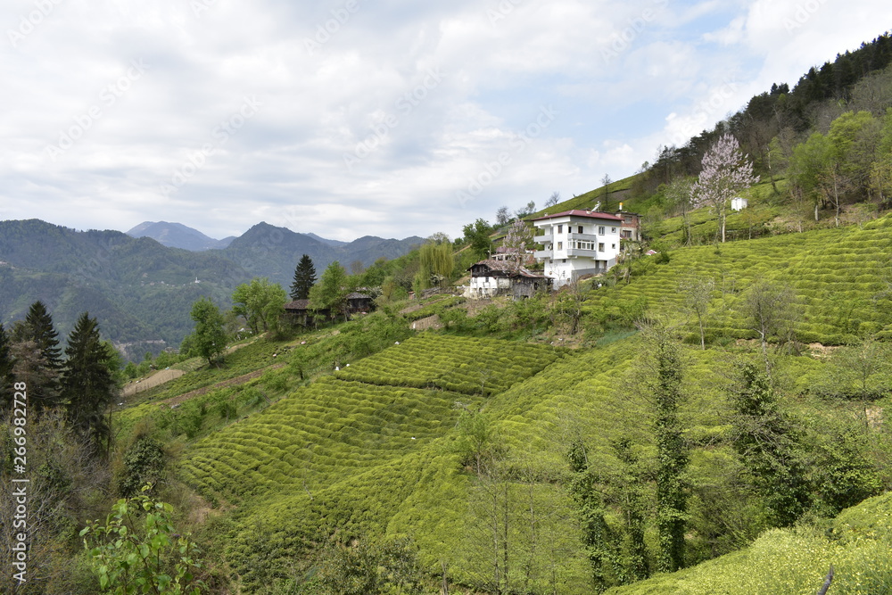 Obraz premium village in the mountains