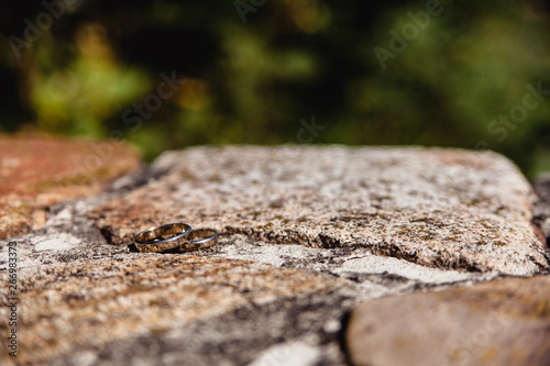 wedding rings on a rock in the forest