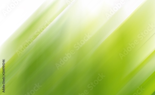 Green vegetative natural dynamic blurred lines background.