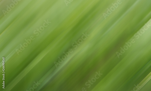 Green vegetative natural dynamic blurred lines background.