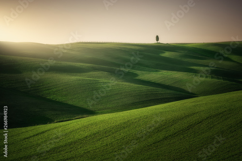 Panoramic view of beautiful endless green fields in bright sunlight, Italy photo