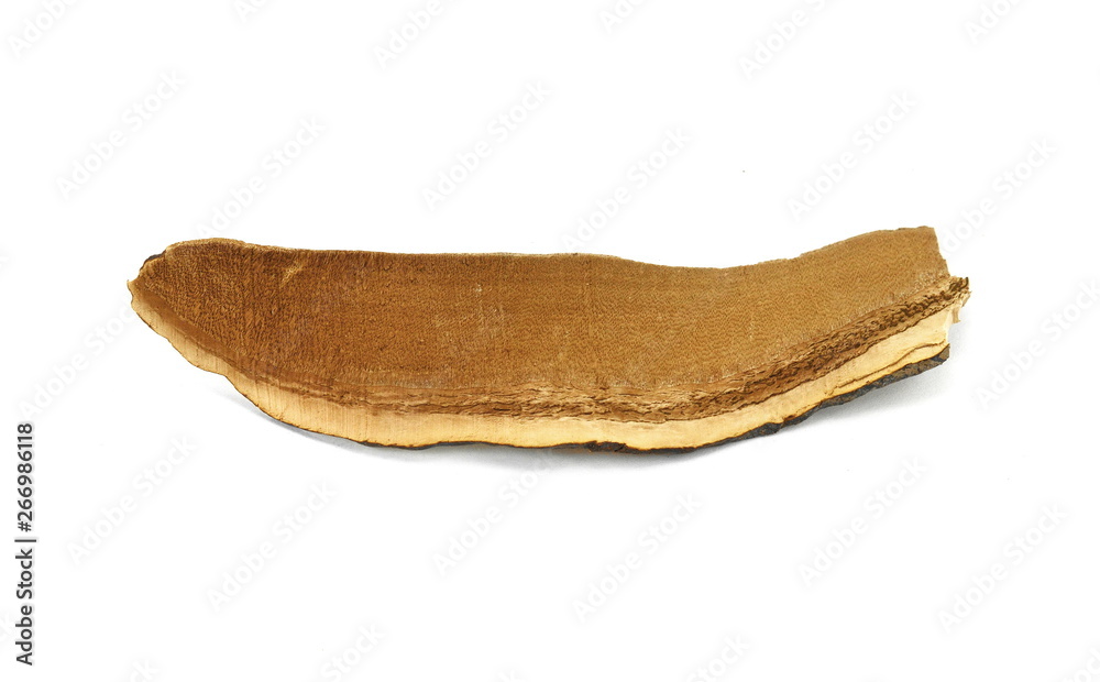 Fototapeta premium Dried lingzhi mushroom (Also called as Reishi mushroom in Japan, Lingcheu in Thailand, Lingzhi mushroom in China, Ganoderma Lucidum Karst or lacquered mushroom) on white.