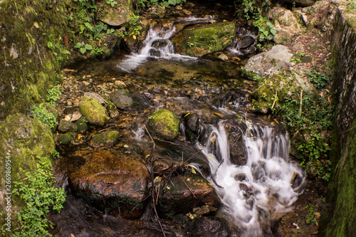 waterfall in forest