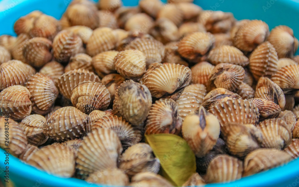 Steam cockles 