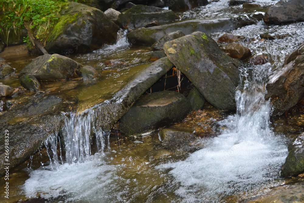 Carpathian mountains, Ukraine: Stream on way to Hoverla, the highest Ukrainian mountain, in cloudy summer day Carpathian mountains, Ukraine: Stream on way to Hoverla, the highest Ukrainian mountain, in cloudy summer day