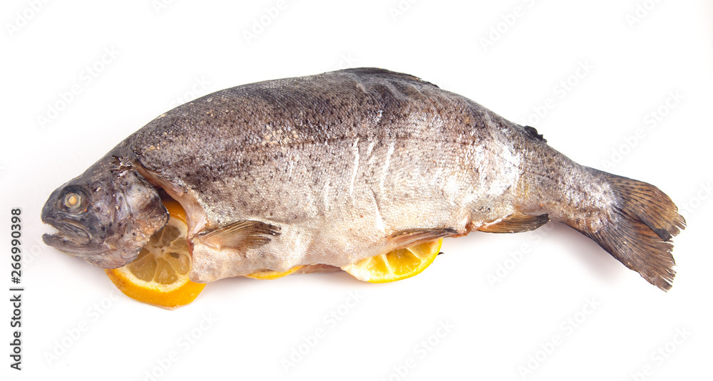 A Whole Rainbow Trout Isolated on a White Background A Whole Rainbow Trout Isolated on a White Background