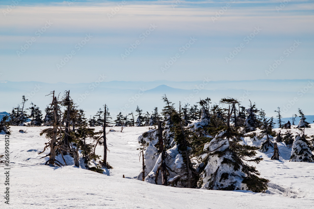 Snowy scenery of Hachimantai in Tohoku region Snowy scenery of Hachimantai in Tohoku region