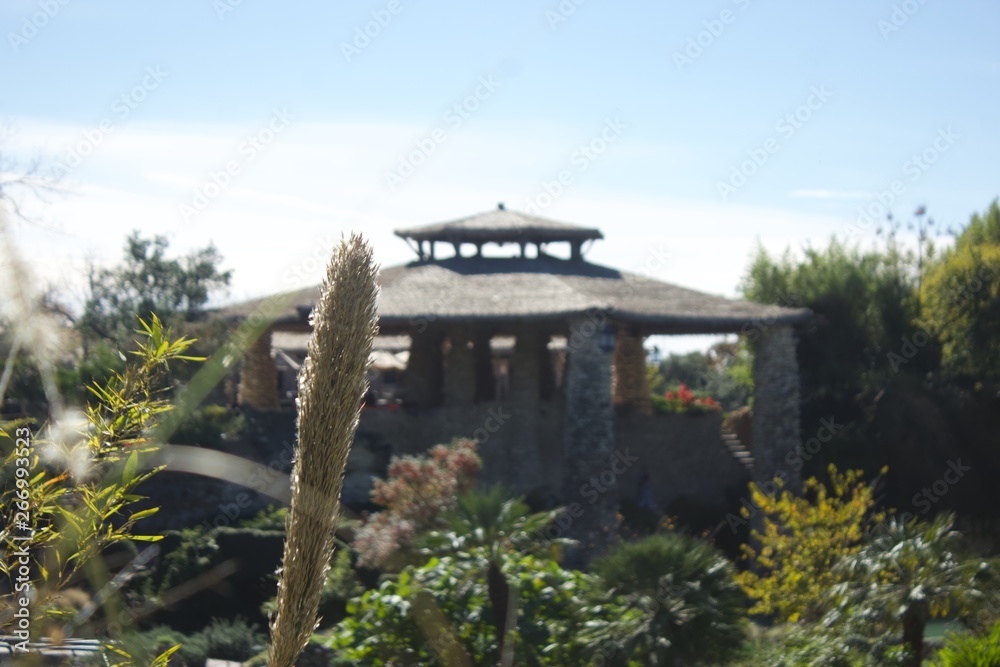 Fototapeta premium Tranquility