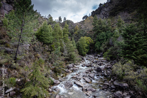 Mountain creek in Peneda Geres, Portugal.