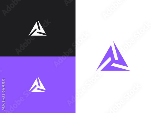 Minimalistic triangle geometric logo with ethno style