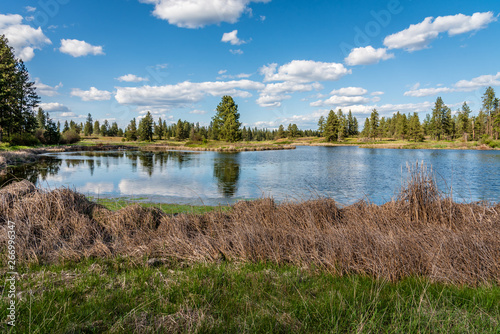 Middle Pine Lake At Turnbull National Wildlife Refuge