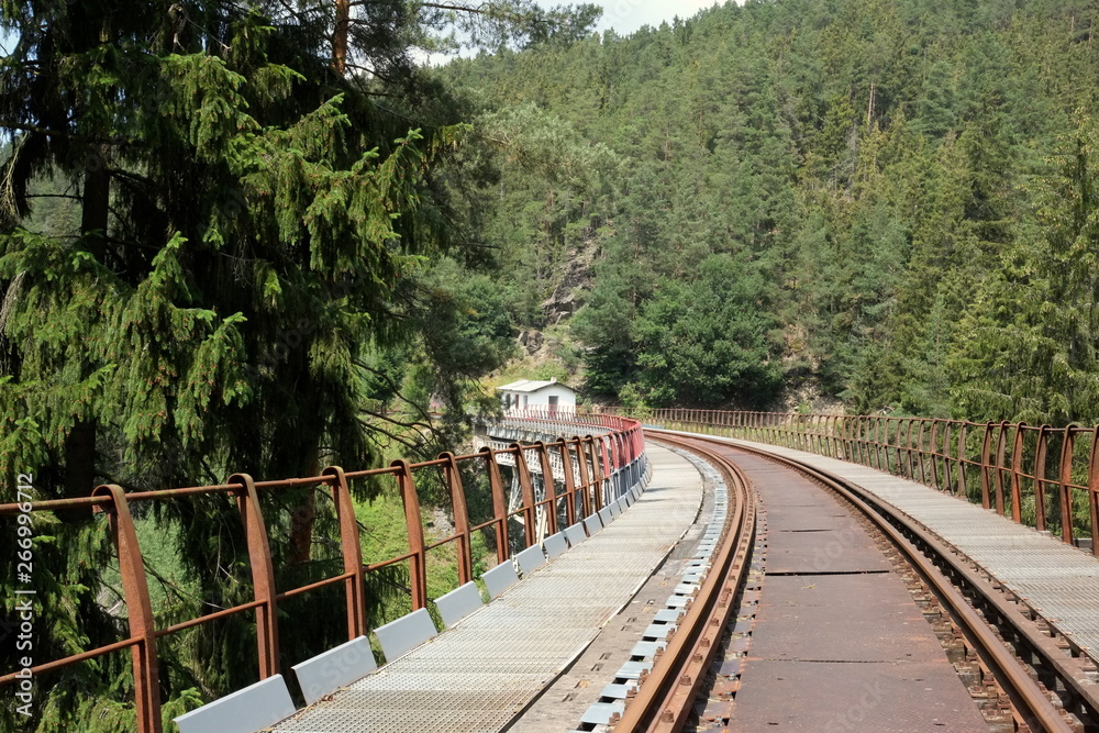 Fototapeta premium verlassene Eisenbahnbrücke