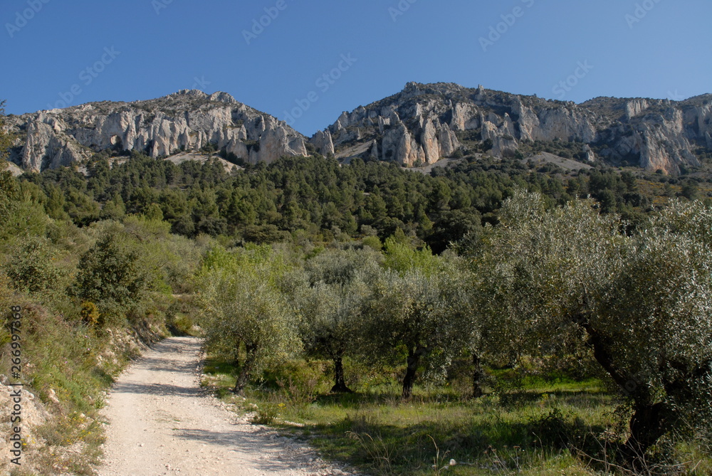 road in mountains. Els Frares limestone rock pinnacles near Quatretondeta, Sierra de Serrella, Alicante Province, Spain
