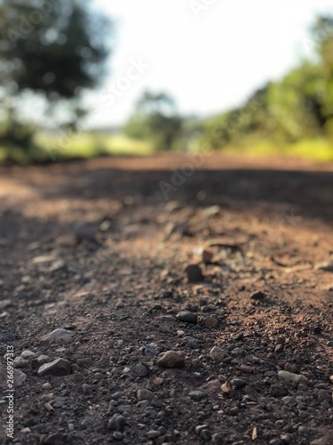 closeup of a gravel road with nature in background