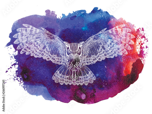  Flying owl with large wings. Dudling painting, dudling, meditation. The bird spread its wings.