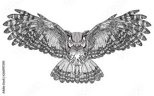  Flying owl with large wings. Dudling painting, dudling, meditation. The bird spread its wings.