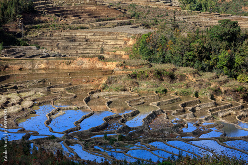 Honghe Yuanyang, Samaba Rice Terrace Fields - Baohua township, Yunnan Province China. Sama Dam Multi-Color Terraces - grass, mud construction layered terraces filled with water, blue sky reflection photo