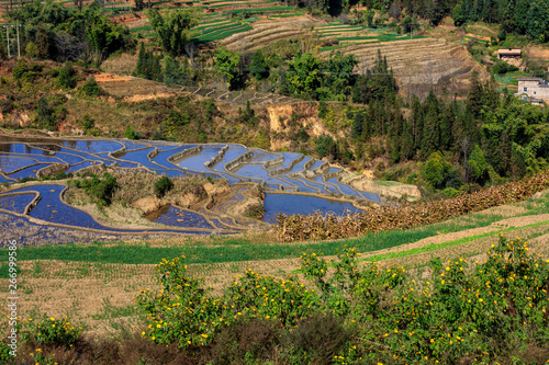 Honghe Yuanyang, Samaba Rice Terrace Fields - Baohua township, Yunnan Province China. Sama Dam Multi-Color Terraces - grass, mud construction layered terraces filled with water, blue sky reflection photo