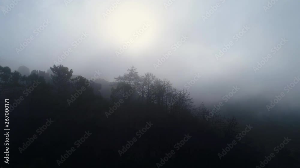 Aerial view mountain with burnt forest in mist. Drone moving in clouds above slope with sillhouette of dead pine trees. Ecological disaster in Portugal, Douro valley Aerial view mountain with burnt forest in mist. Drone moving in clouds above slope with sillhouette of dead pine trees. Ecological disaster in Portugal, Douro valley