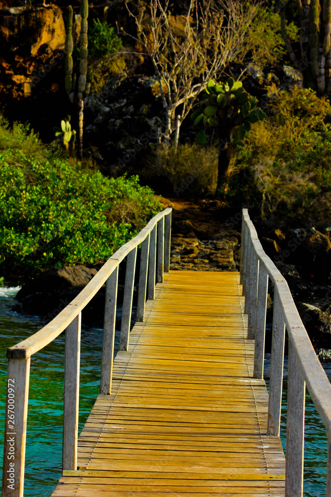 Obraz premium puente galapagos