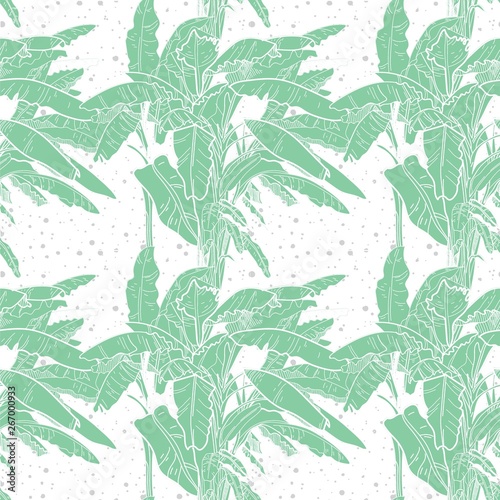Wallpaper Mural Seamless pattern with banana palm trees. Large leaves of tropical plants. Freehand drawing in vintage style. Tropics, summer. Torontodigital.ca