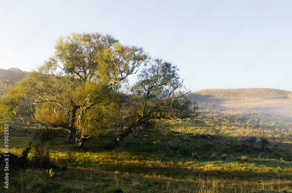 autumn landscape with trees and blue sky