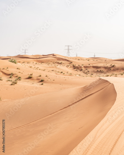 Fototapeta Naklejka Na Ścianę i Meble -  Desert Landscape