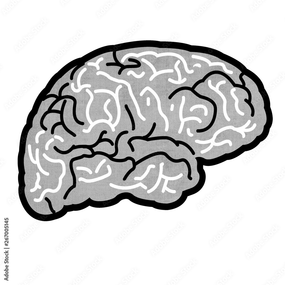 brain brain
