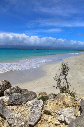 Sable blanc sur la plage  