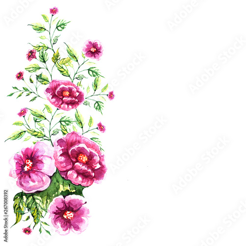 beautiful pink flowers,watercolor,isolated on a white © aboard