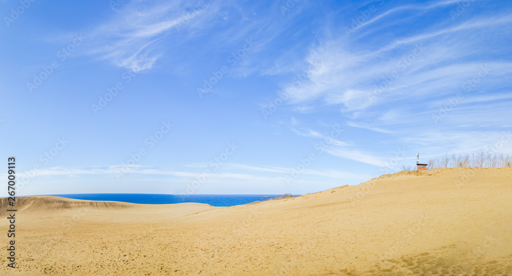 Tottori sand dune