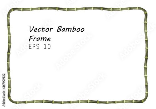 Bilde på lerret Rectangular Thin Bamboo Frame -  Realistic Vector Green Banner Isolated on White