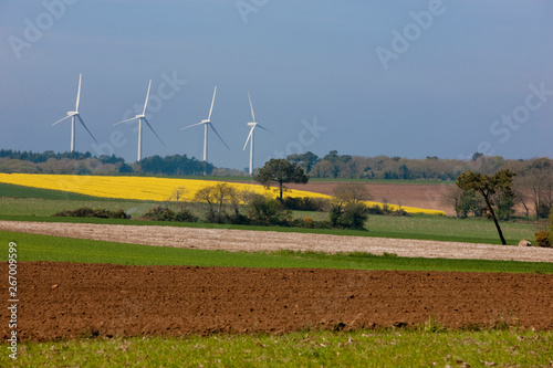 eoliennes photo