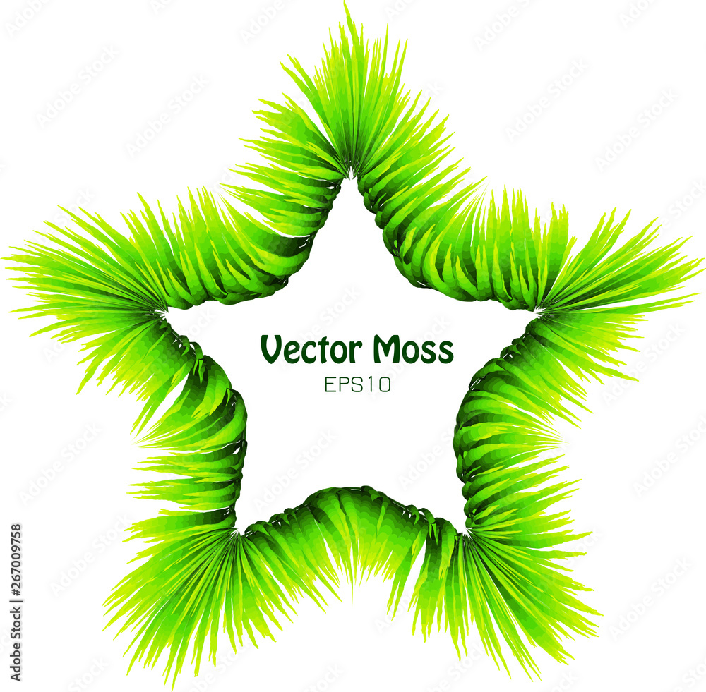 Vector Bamboo Leaf or Moss Wreath - Five Finger Isolated Herbal Frame - Foliage Green Concept 