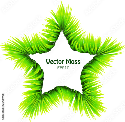 Vector Bamboo Leaf or Moss Wreath - Five Finger Isolated Herbal Frame - Foliage Green Concept 