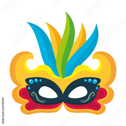 mask feathers brazil carnival