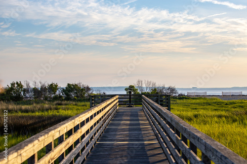 wooden broadwalk in the countryside