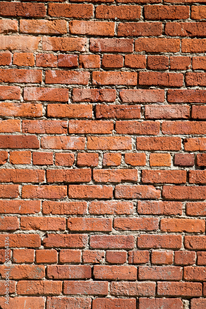 Fototapeta premium Brick Wall Background