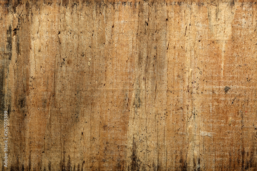 Fototapeta premium Worn wooden background or texture