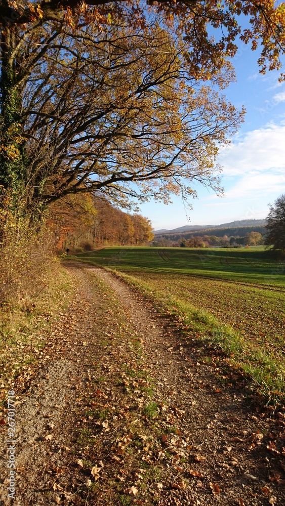 Herbst Landschaft Felder