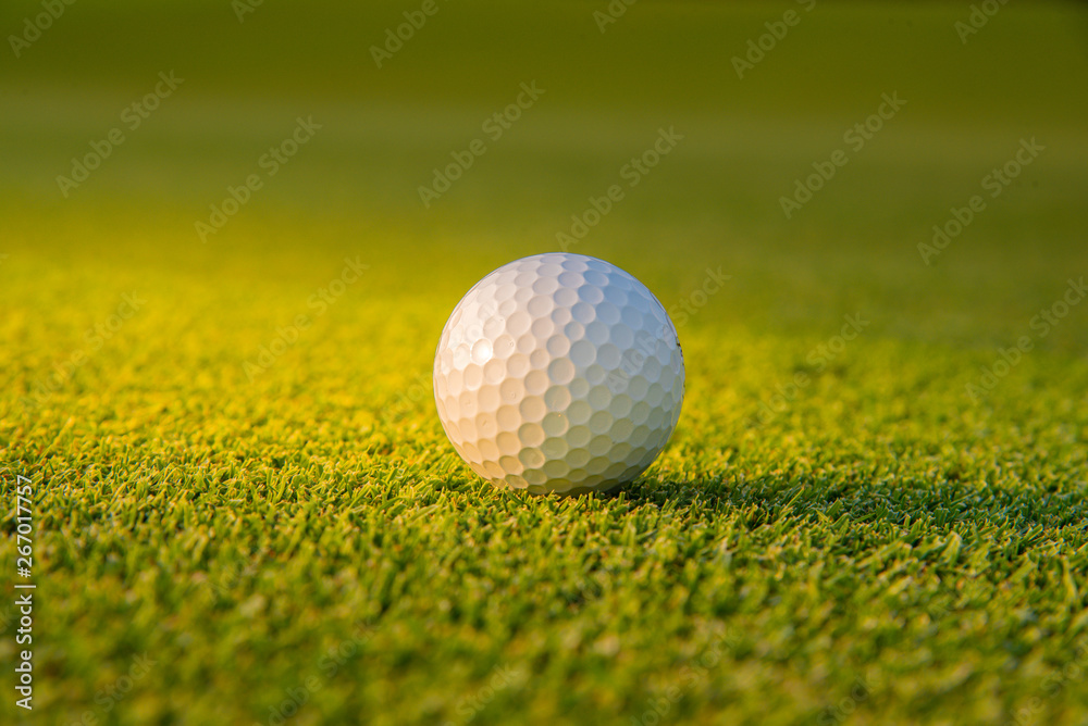 Golf ball putting on green grass golf in game at golf course with blur background and sunlight ray Golf ball putting on green grass golf in game at golf course with blur background and sunlight ray