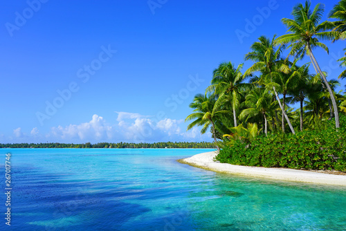 View of a tropical landscape with palm trees  white sand and the turquoise lagoon water in Bora Bora  French Polynesia  South Pacific