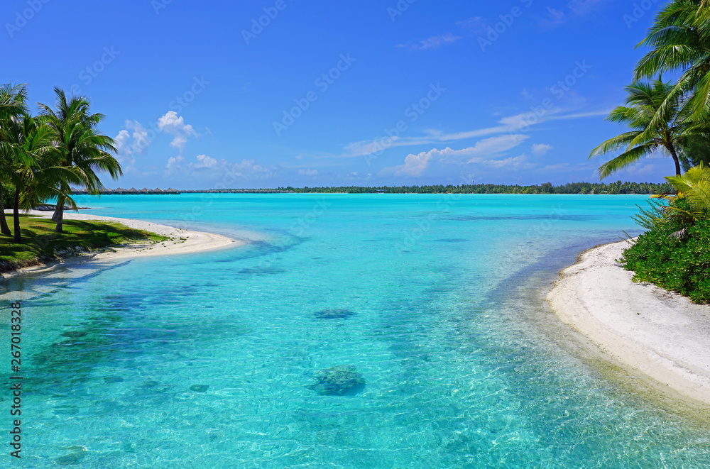 View of a tropical landscape with palm trees, white sand and the turquoise lagoon water in Bora Bora, French Polynesia, South Pacific