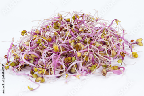 Healthy kale sprouts containing vitamins and minerals. White background