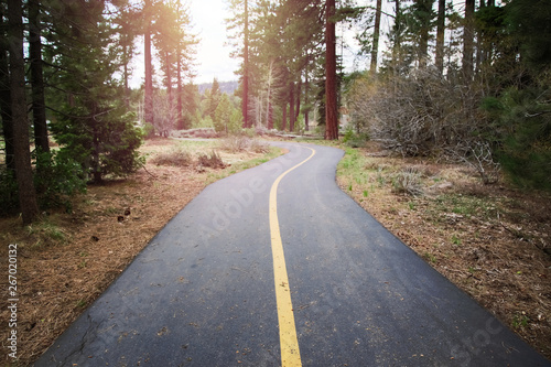 bike path in forest