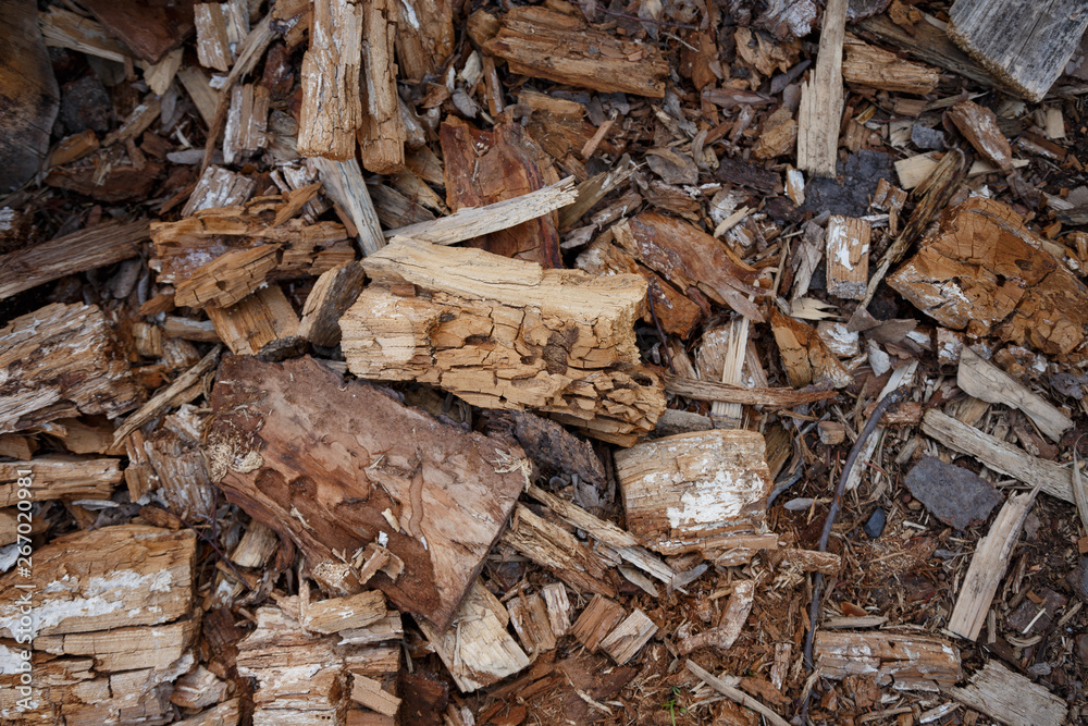 Background from random pieces of wood. Firewood. Background from random pieces of wood. Firewood.