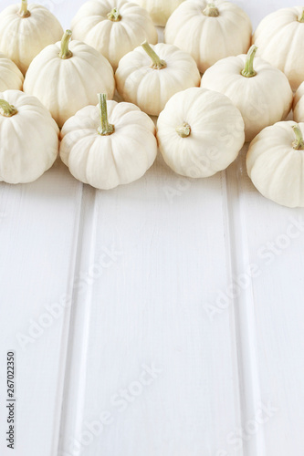 Baby boo pumpkins on white wooden table.