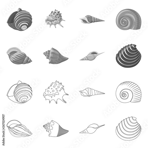 Vector illustration of animal and decoration sign. Set of animal and ocean stock vector illustration.