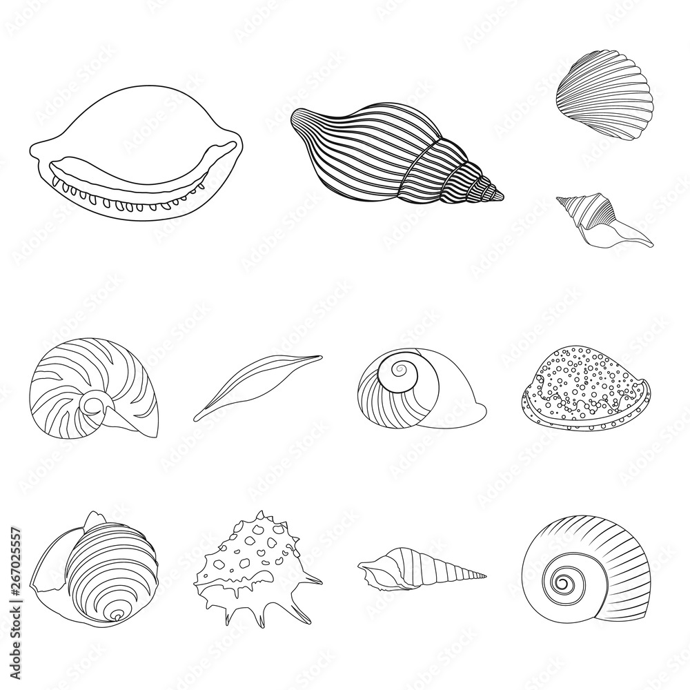 Vector illustration of exotic and seafood  icon. Collection of exotic and aquatic stock symbol for web.